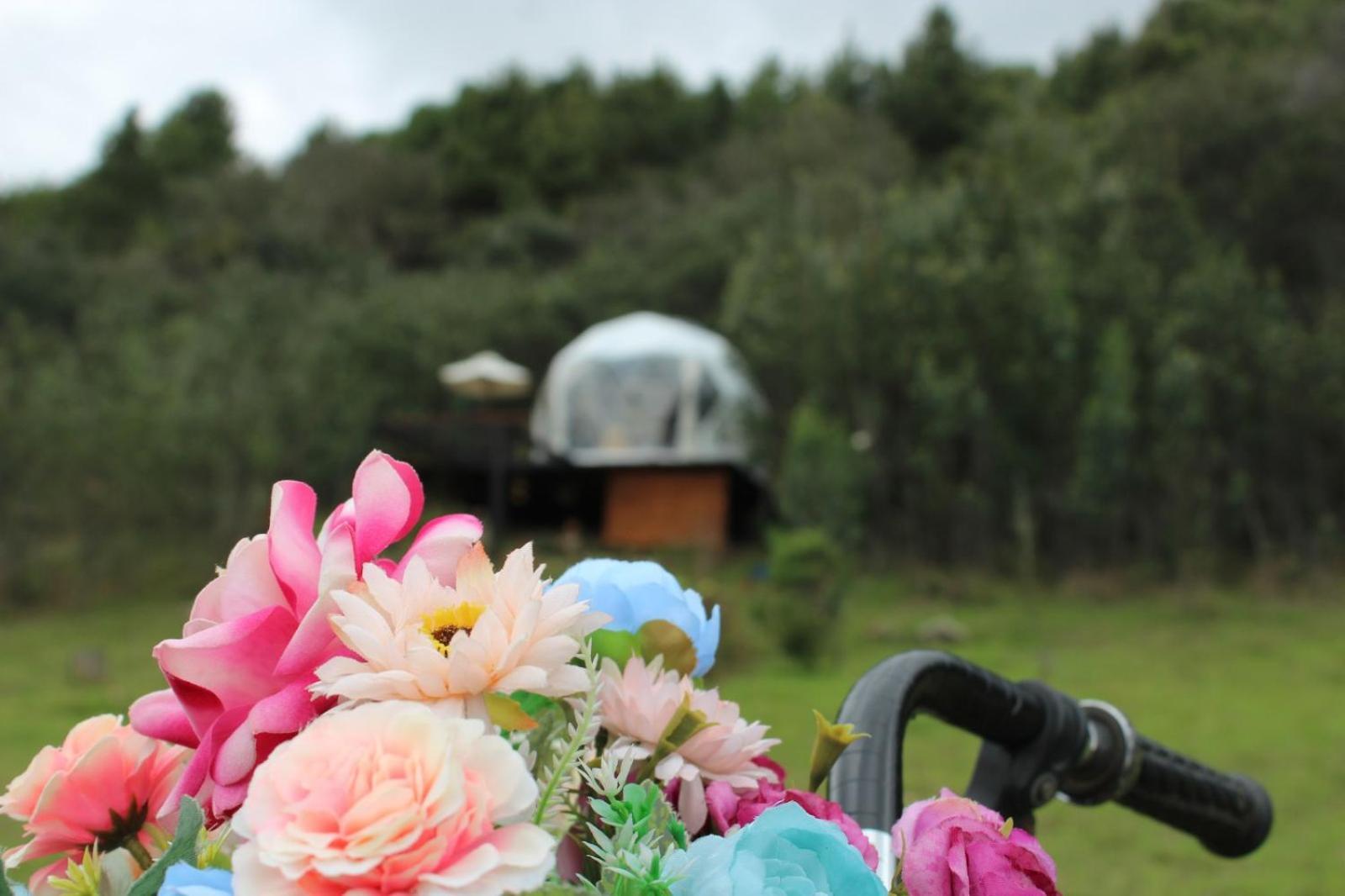 Glamping La Villa Гуатавита Экстерьер фото